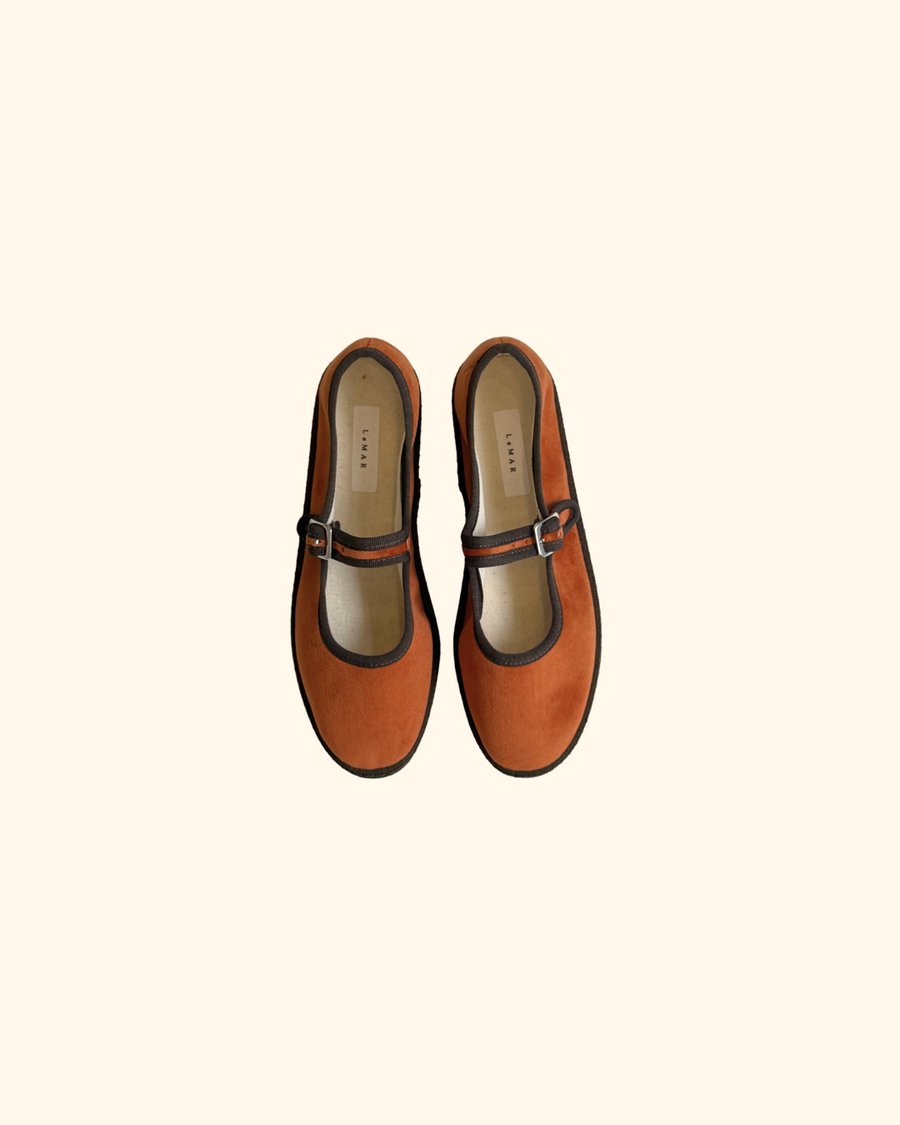 Carrot cake / Orange-Dark brown