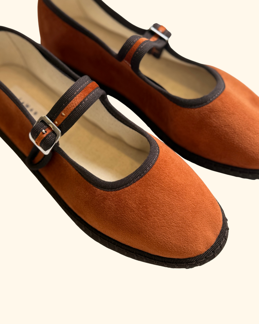 Carrot cake / Orange-Dark brown